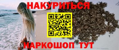 гидра Кудрово
