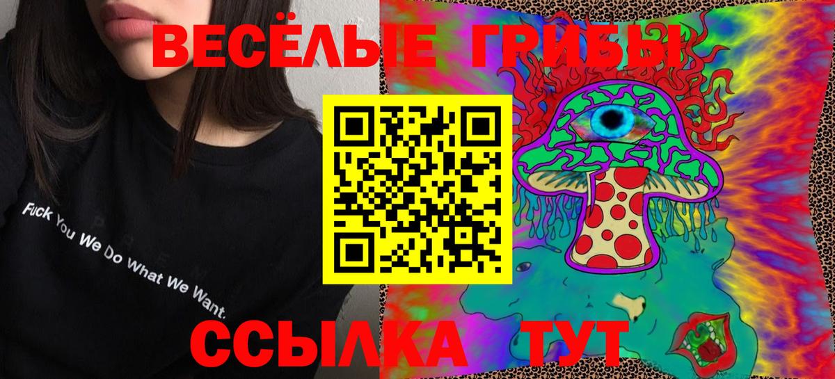 Галлюциногенные грибы ЛСД Чайковский